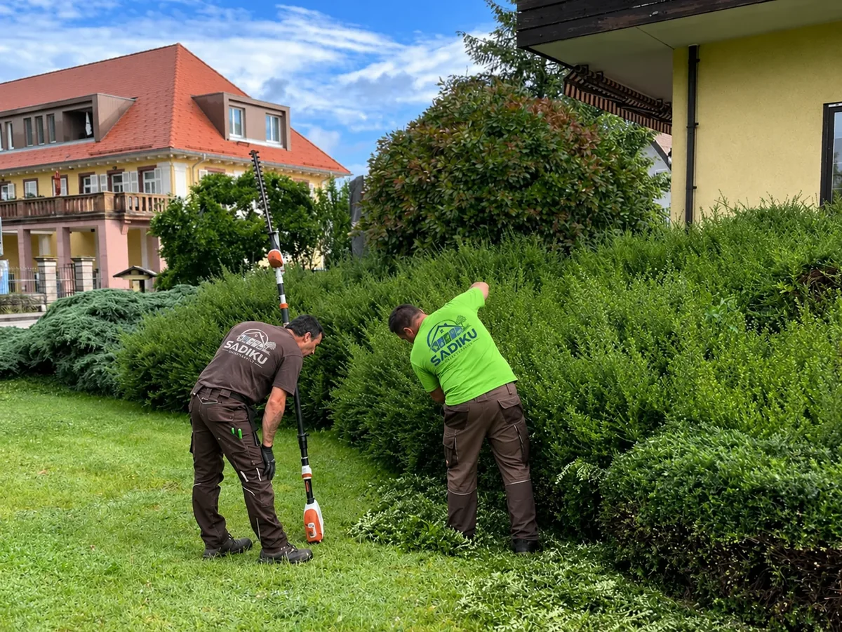 Mitarbeiter bei der professionellen Heckenpflege